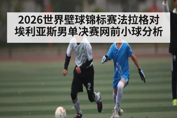 2026世界壁球锦标赛法拉格对埃利亚斯男单决赛网前小球分析